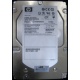 HP 454228-001 146Gb 15k SAS HDD (Армавир)