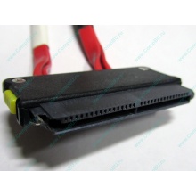 SATA-кабель для корзины HDD HP 451782-001 459190-001 для HP ML310 G5 (Армавир)