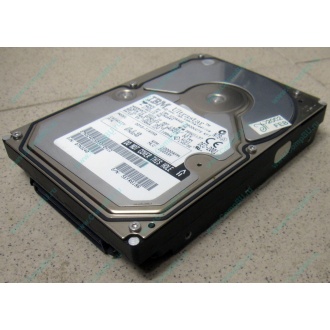 Жесткий диск 18.2Gb IBM Ultrastar DDYS-T18350 Ultra3 SCSI (Армавир)