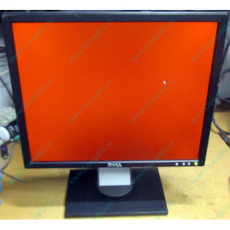 Dell E197F P в Армавире, монитор 19" TFT Dell E197FPb (Армавир)