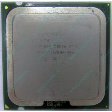 Процессор Intel Pentium-4 521 (2.8GHz /1Mb /800MHz /HT) SL8PP s.775 (Армавир)