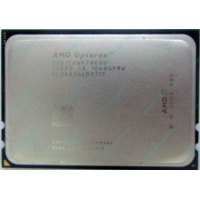 Процессор AMD Opteron 6128 (8x2.0GHz) OS6128WKT8EGO s.G34 (Армавир)